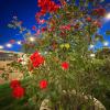 Dear Mary, B&B romantico vicino Lecce nel cuore del Salento