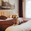 Hotel Asterisk, a family run hotel