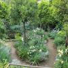 Iride Bed and Breakfast