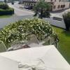 B&B Villa Griselda