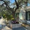 Danielli Luxury Villas