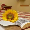 Hostal Siete Picos