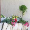 Apartment Apolon planinski