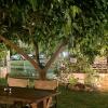 Garden Oasis Residence
