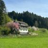 Ferienwohnung Hesselbach