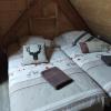 La Grande Ourse