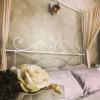 Bed & Breakfast Canova