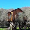 Palazzo Conforti Tree House Resort