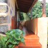 Casa Rural Las Rosas