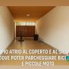 Fiocco di Neve