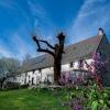 le Domaine de Bos