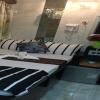 Hostel Venus