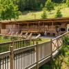 The Lodge Transylvania
