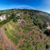 Finca Mamposo