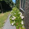 B&B Le calme sur les hauteurs de Spa