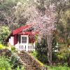 Casa Rural La Gustoza