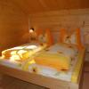 Chalet in Sankt Gallenkirch near Ski Bus