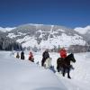 Apartment in Zillertal near Ski Slopes