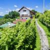 Apartment Bastaja