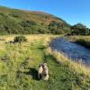Bedwellty Lodge near BikePark Wales