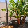 Sunrise Surf House, Big Garden, Hot Tub, Parking, super-fast free Wi-Fi