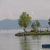 Appartamento Vacanze Magnolia e Glicine