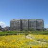 Studio with sea view and panoramic view in Bredene