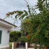 Ideal house for two families with pool and barbecue