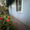 Hawaiian Ohana Home