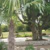 Le Domaine de Canesse
