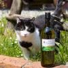 Weingut zur Schlafmütze