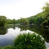 Llangammarch Wells, Powys, LD4 4BS, England.