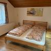 Apartment Silvia