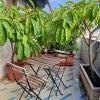 B&B AL PASSIO