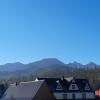 Domki nad Borem