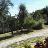 Colombaio In Colle