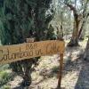 Colombaio In Colle