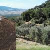 Colombaio In Colle