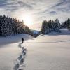 Heimat Apartments - Zillertal