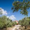 Vrysomylos