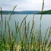 Fügefa Vendégház