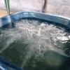 Casă de vacanţă ,,La Vălucu