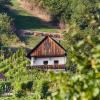 Weinberg Lodge - Kellerstöckl