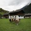 Ferienhaus Ruggenthaler