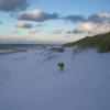Residenz Lausitz - Apartments für Urlaub mit Hund