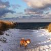 Residenz Lausitz - Apartments für Urlaub mit Hund