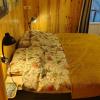 B&B Halen
