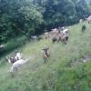 Agriturismo Fiorendo