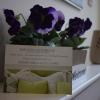 Barton Guest House