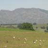 Guéraçague Etcheverry Garaya